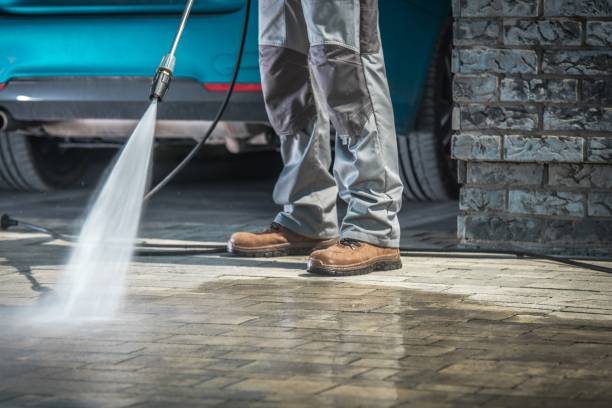 Best Pre-Holiday Cleaning  in Wilton, CA