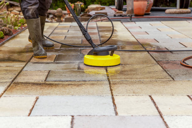 Best Roof Washing  in Wilton, CA